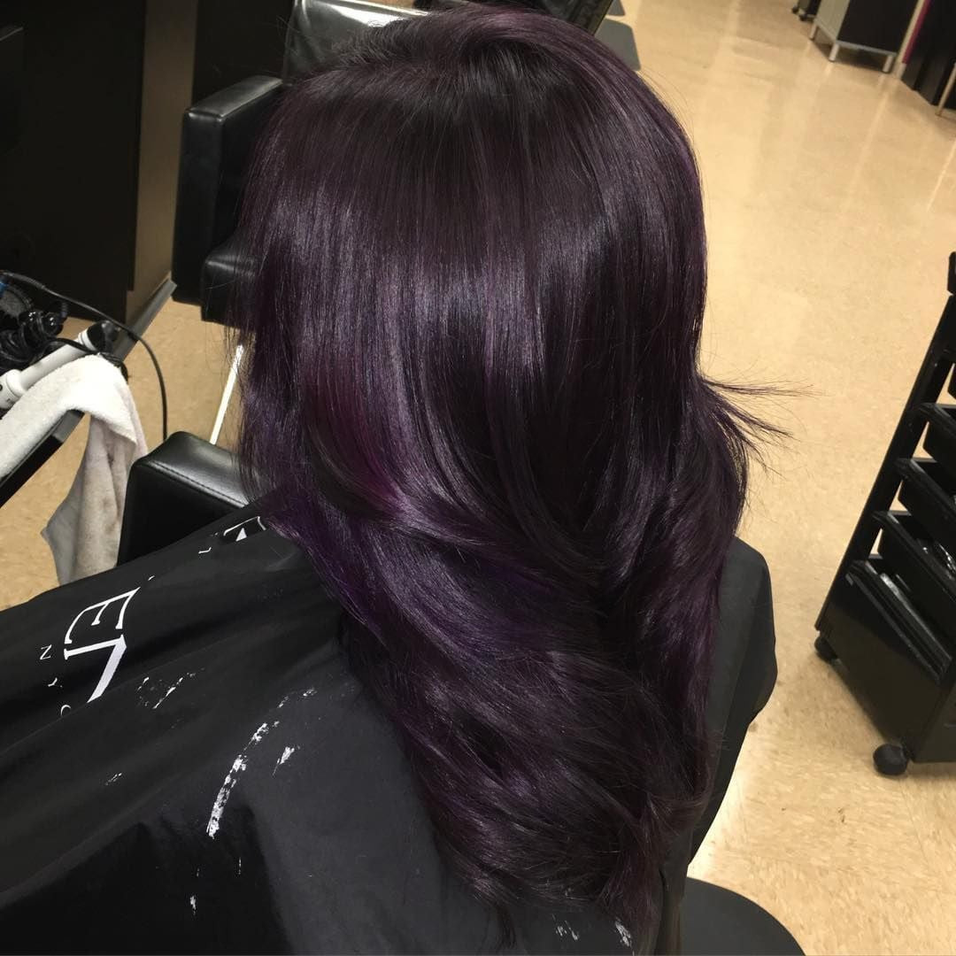 Deep Rich Purple Collarbone Waves — Purple Black Hair
