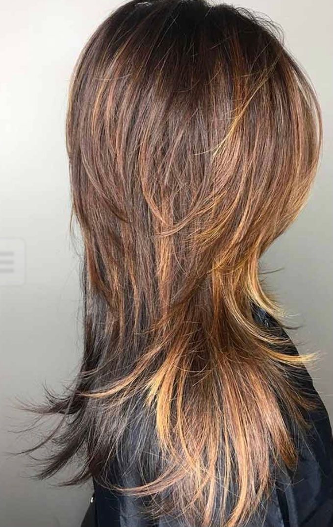 Dark Brown With Blonde Highlights Visual Idea Dark Brown With Blonde Highlights Visual Idea — Long Shag