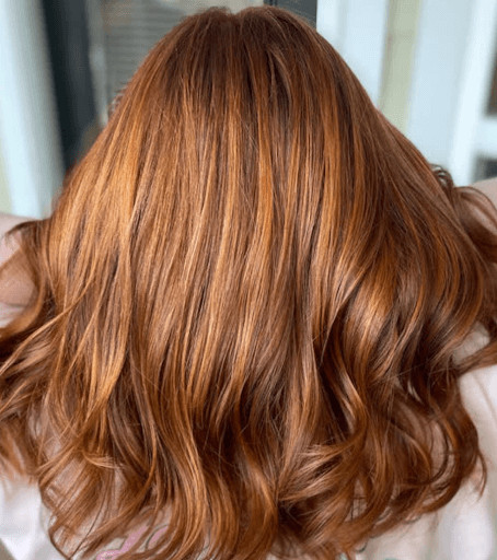 Rich Brown With Bright Copper Highlights Visual Idea Rich Brown With Bright Copper Highlights Visual Idea — Copper Brown Hair