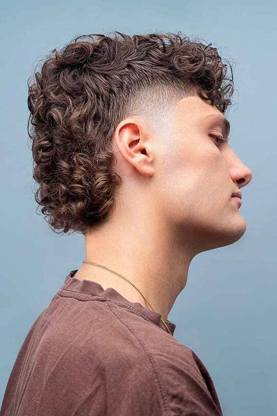 Mullet Visual Idea Mullet Visual Idea — Modern Mullet