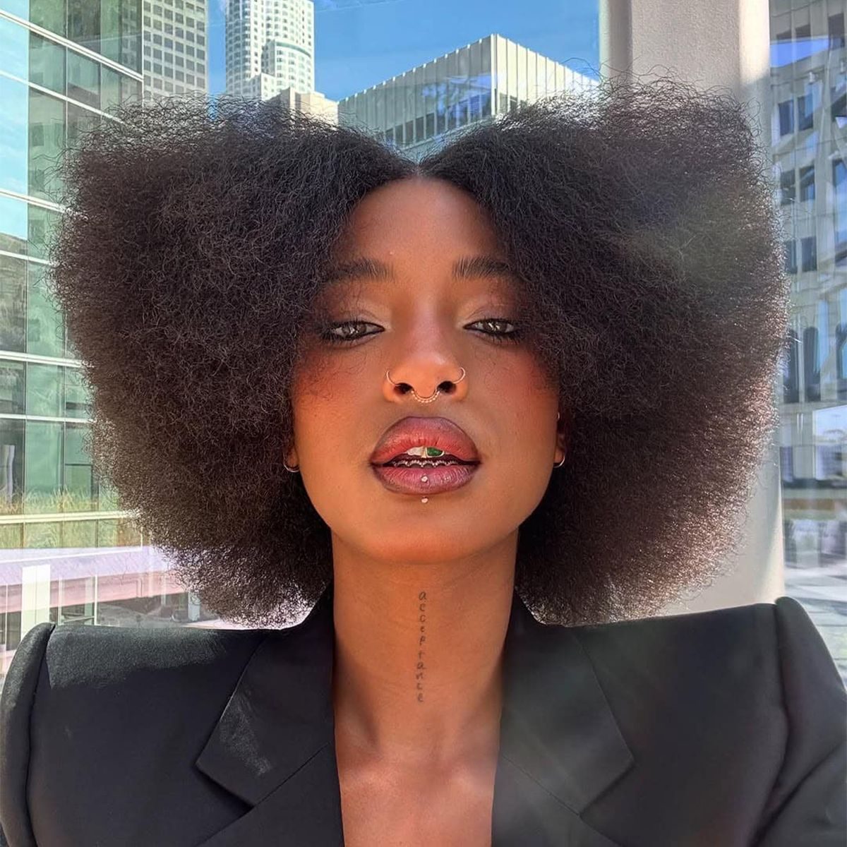 Afro Visual Idea — High Puff