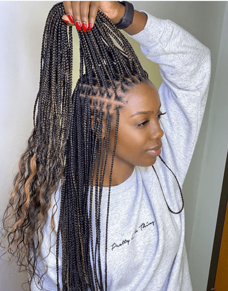 Knotless Braids Subtle Highlights