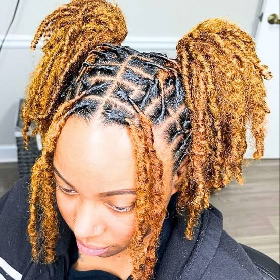 Collarbone Ginger Locs In Double Pigtails Collarbone Ginger Locs In Double Pigtails