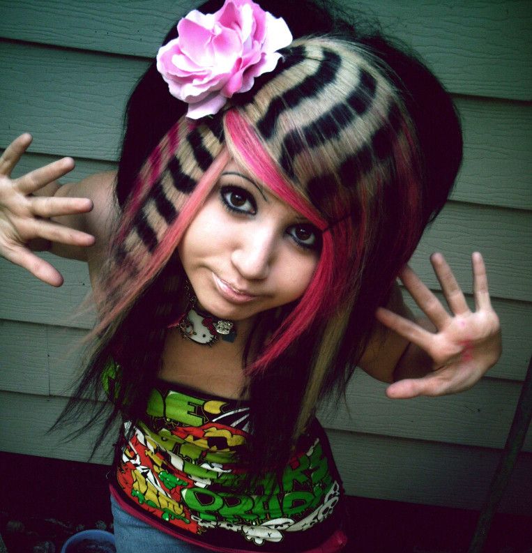 Black With Pink And Blonde Zebra Stripes Visual Idea — Scene Hair