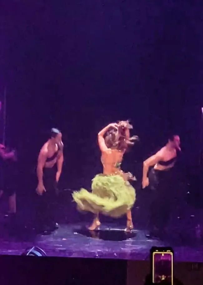 Gold Corset and Green Skirt: Dynamic Stage Performance Gold Corset and Green Skirt: Dynamic Stage Performance — Vegas Show Outfits