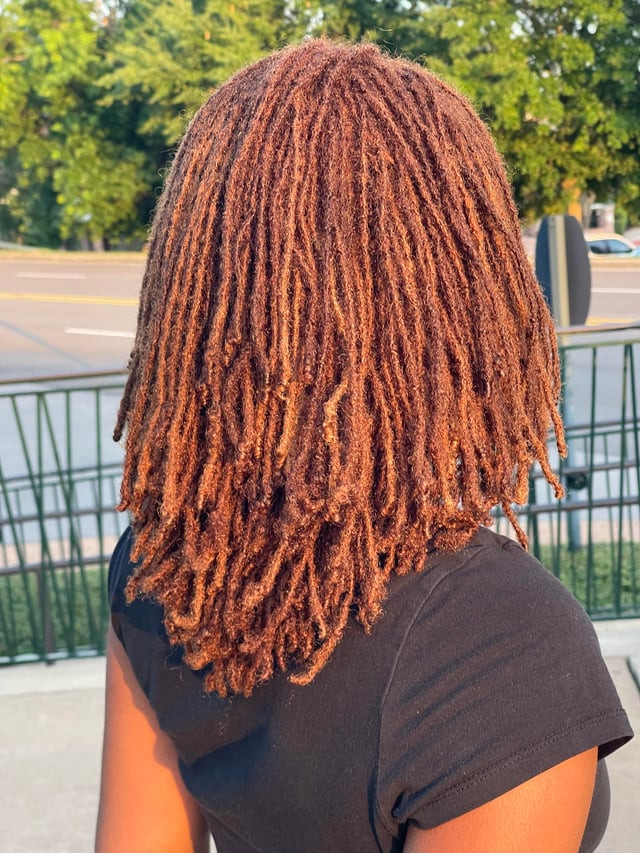 Auburn Locs With Subtle Highlights — Loc Colors
