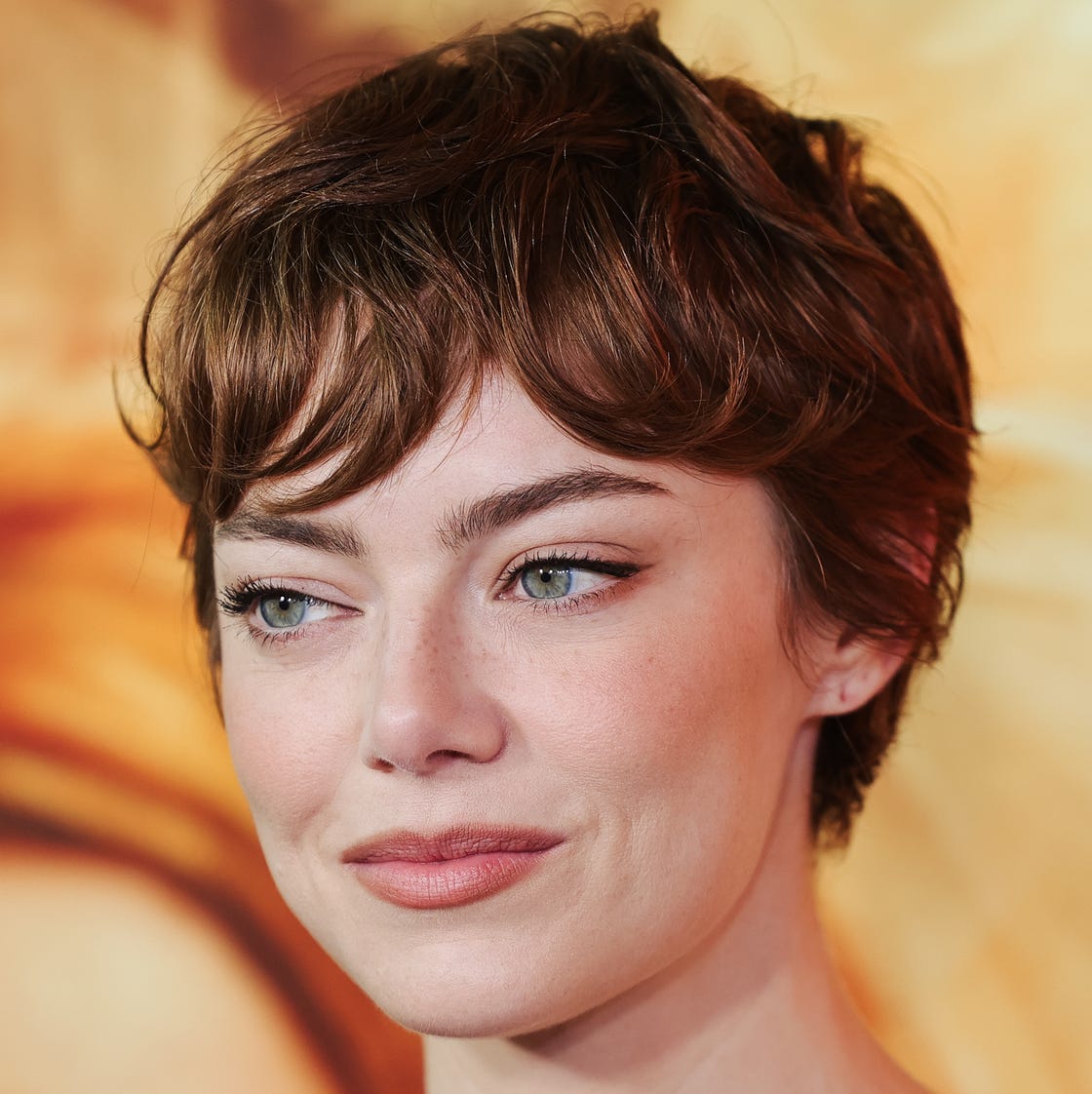 Textured Reddish-Brown Pixie Cut — Pixie Cut for Thick Hair