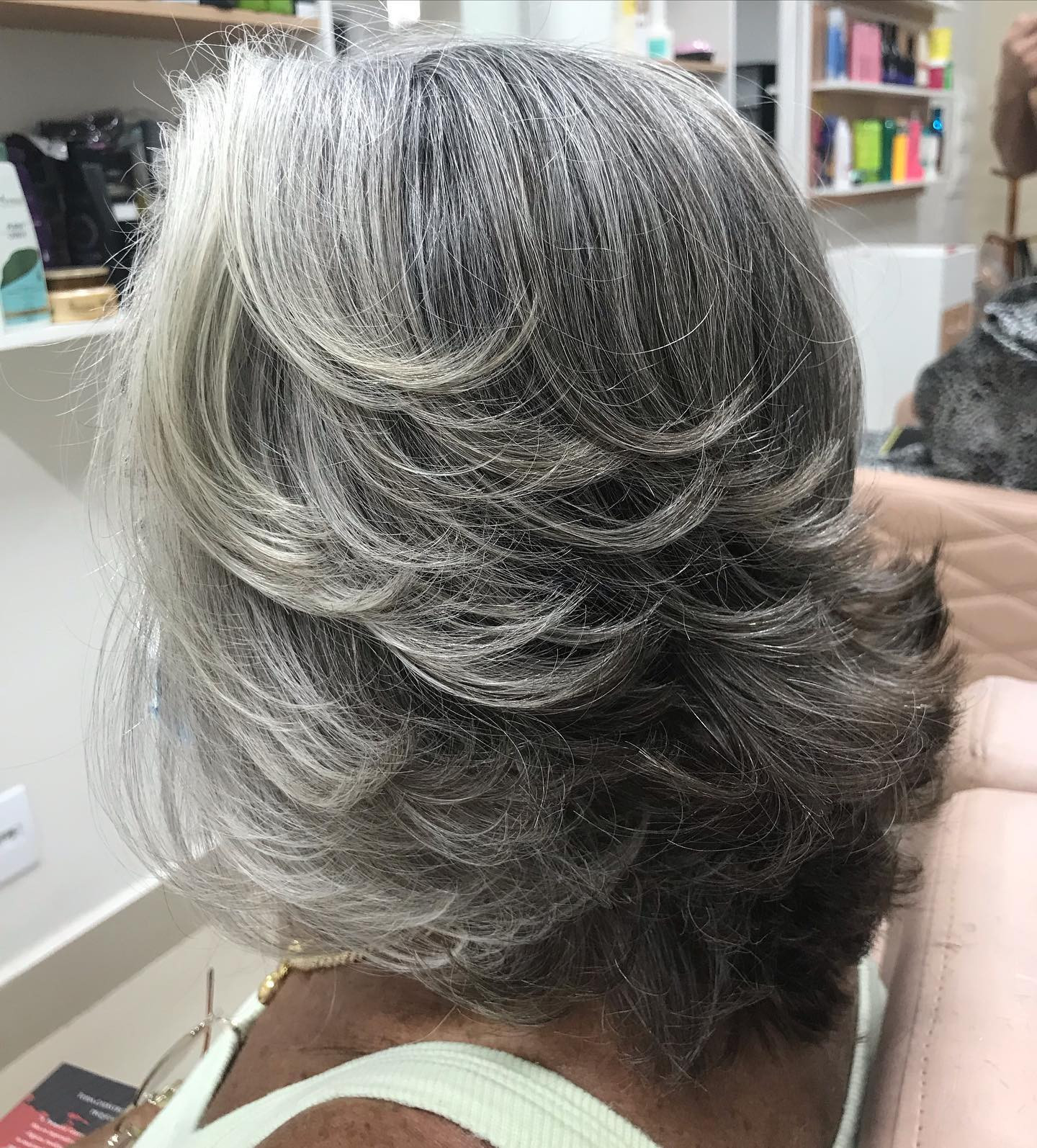 Layered Bob Visual Idea — Salt and Pepper Hair