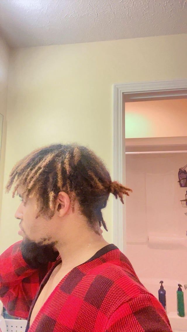 Brown And Blonde Highlights Visual Idea — Loc Ponytail