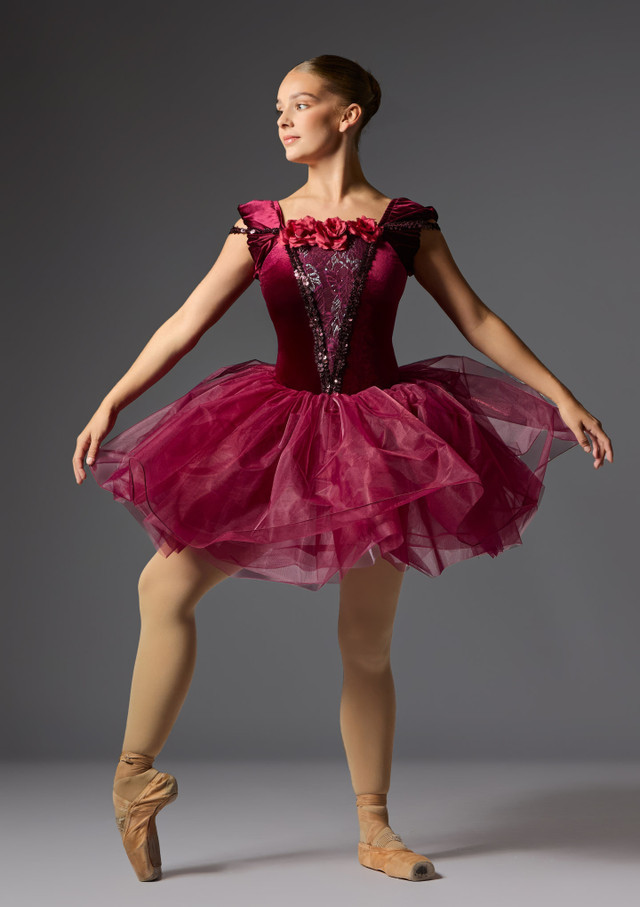 Luxurious Deep Red Velvet Tutu Costume Luxurious Deep Red Velvet Tutu Costume — Ballet Outfits