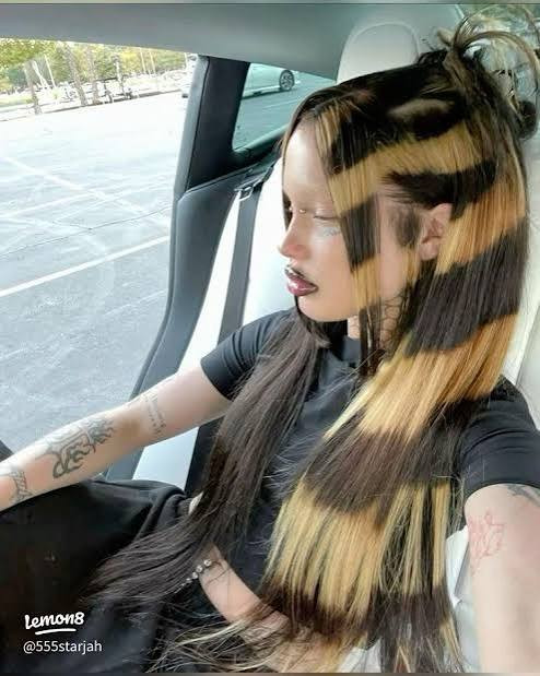 Visual Idea — Reminiscent Of Raccoon Tail Markings Visual Idea — Reminiscent Of Raccoon Tail Markings — Raccoon Tail Hair