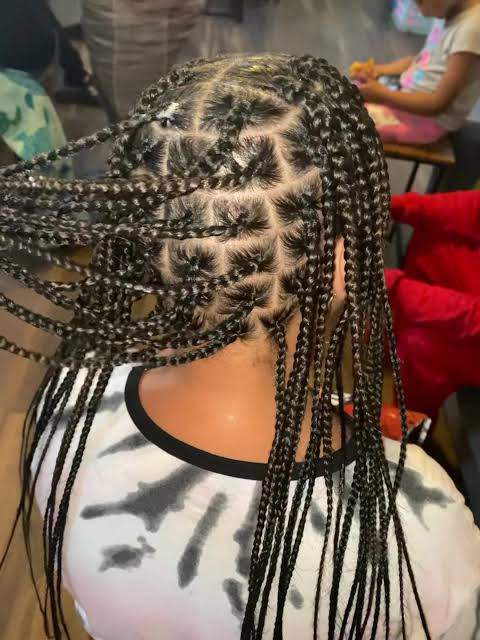 Mid-Back Visual Idea Mid-Back Visual Idea — Kids Box Braids