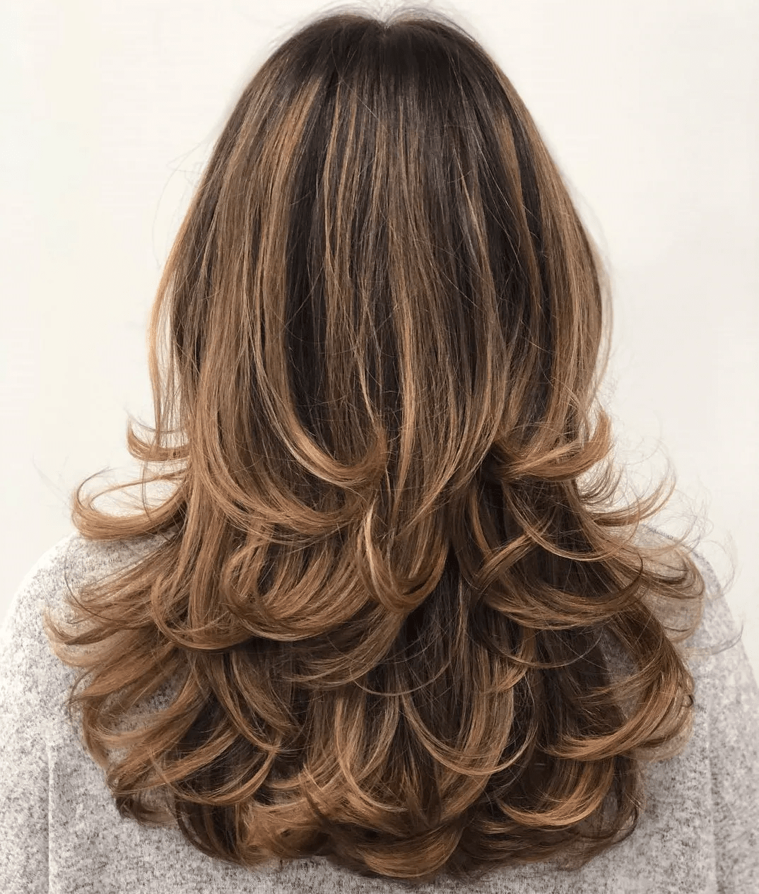 Dark Brown Blowout With Blonde Highlights Dark Brown Blowout With Blonde Highlights — Hairstyles for Frizzy Hair