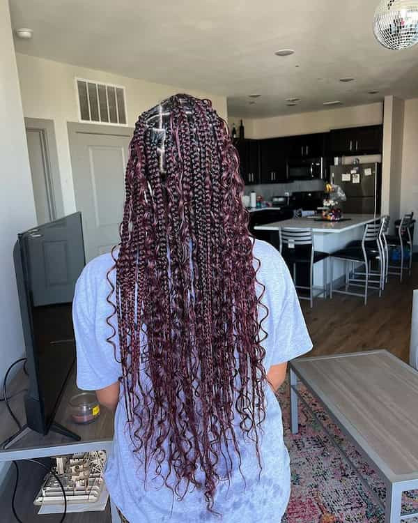 Dark Red with Purple Highlights — Purple Braids