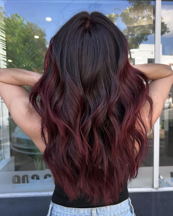 Back View Visual Idea — Black Cherry Hair