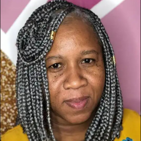 Visual Idea — Gray Braids