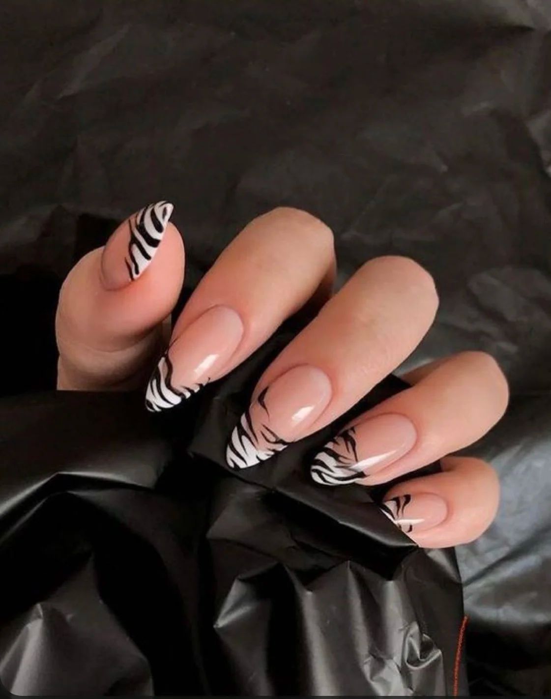 Black And White Zebra Sheer Nude Base Sheer Nude Zebra French Manicure — Zebra Nails