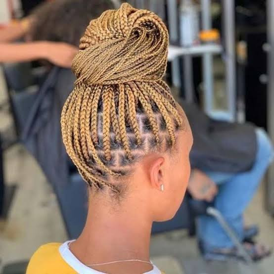 Visual Idea Visual Idea — Honey Blonde Braids