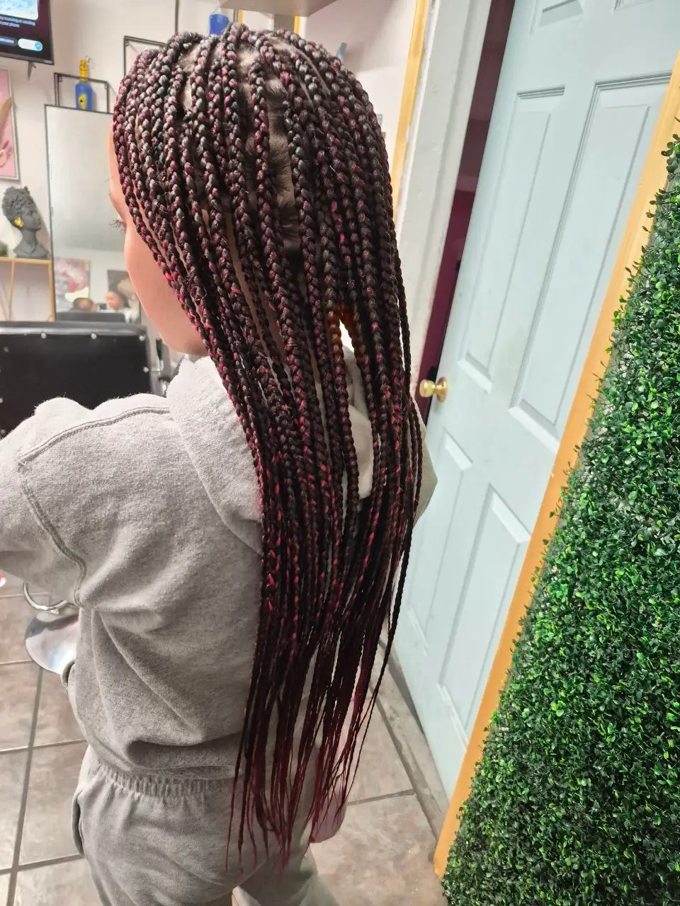 Braids with Striking Red Highlights — Kids Braids