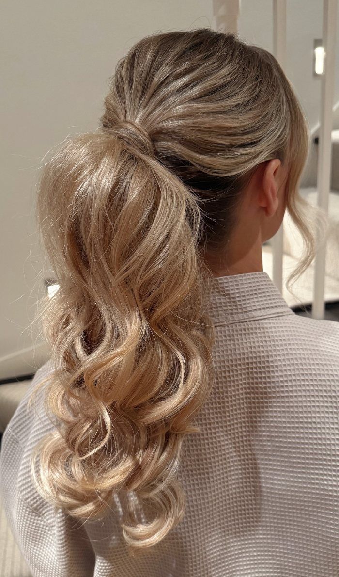 Ash Blonde With Highlights Visual Idea — Low Ponytail with Bow