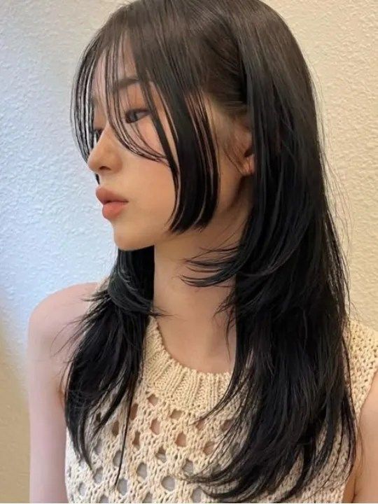 Sleek Collarbone Hime Cut With Fringe Sleek Collarbone Hime Cut With Fringe