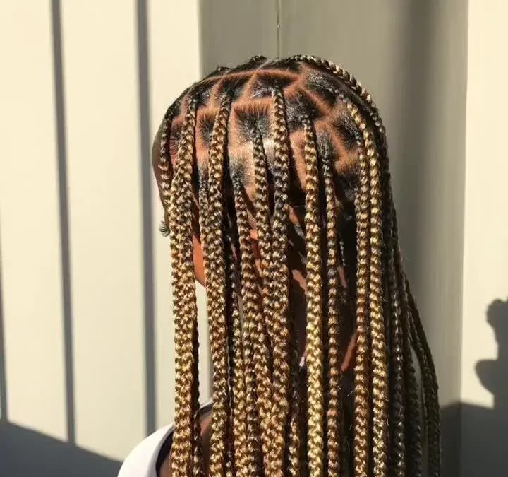 Dark Brown Box Braids with Blonde Tips — Brown Knotless Braids