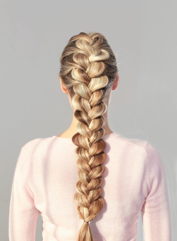 Chunky Dutch Braid — Picture Day Hairstyles