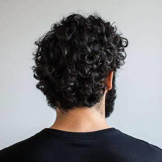 Back View Visual Idea — Curly Hairstyles for Men