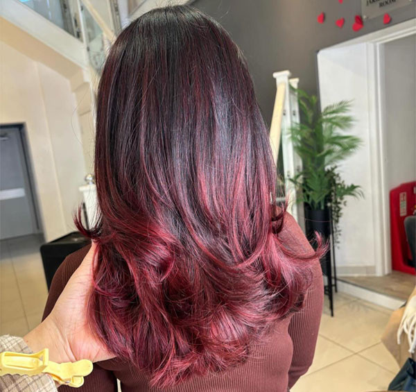 Long Layered Visual Idea — Black Cherry Hair
