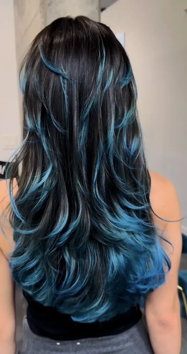 Black With Blue Highlights And Tips Visual Idea Black With Blue Highlights And Tips Visual Idea — Butterfly Haircut