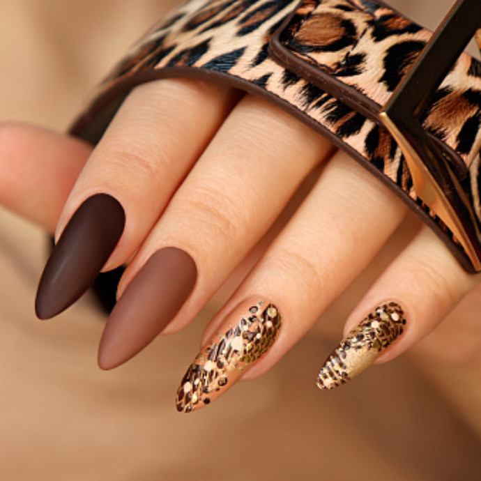 Animal Print Gold Accents Visual Idea — Nail Extensions
