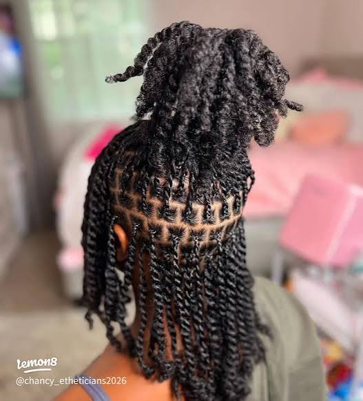 Mid-Back Twists with Neat Scalp Sectioning — Two Strand Twists