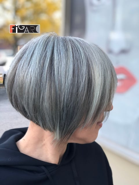 Chin Visual Idea — Gray Bob