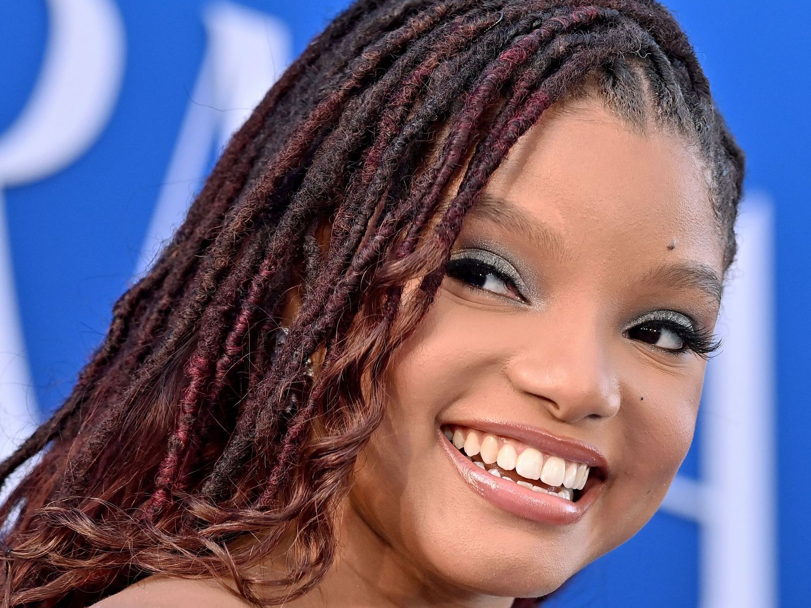 Black With Burgundy Highlights Visual Idea — Loc Ponytail