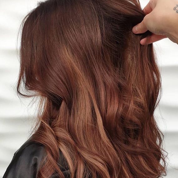 Collarbone Visual Idea Collarbone Visual Idea — Red Brown Hair