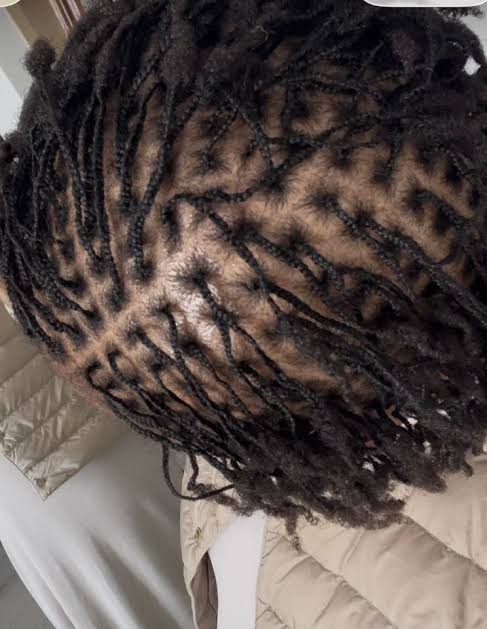 Collarbone Length Braided Locs With Neat Parting — Starter Locs