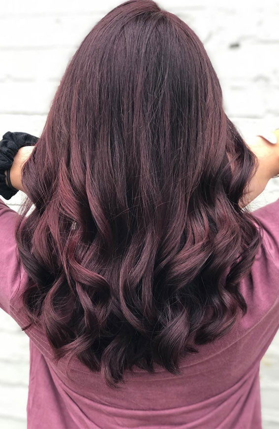 Middle Visual Idea — Black Cherry Hair