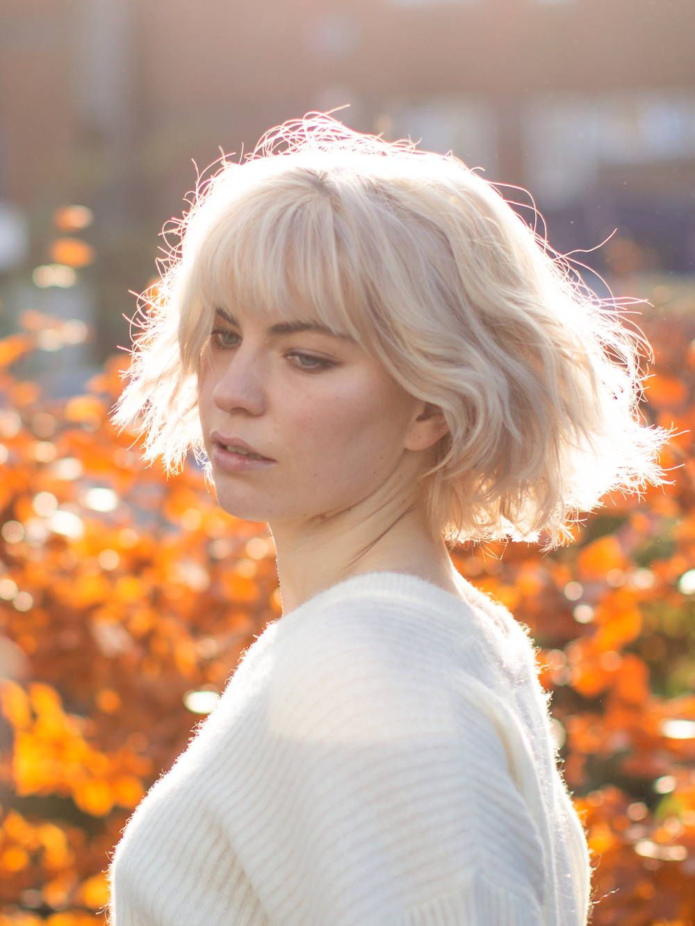 Ash Blonde Visual Idea Ash Blonde Visual Idea — Bob Haircuts