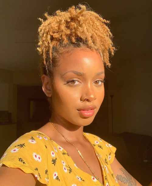 Bright Platinum Blonde Afro Locs Bun Bright Platinum Blonde Afro Locs Bun — Blonde Locs