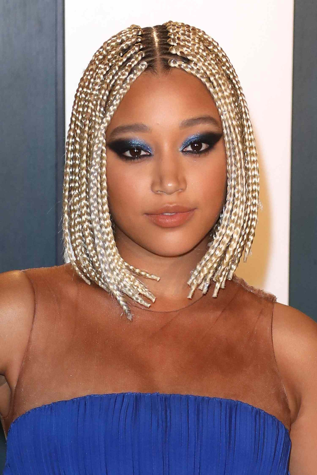 Two-Tone Blonde and Black Braided Bob Two-Tone Blonde and Black Braided Bob