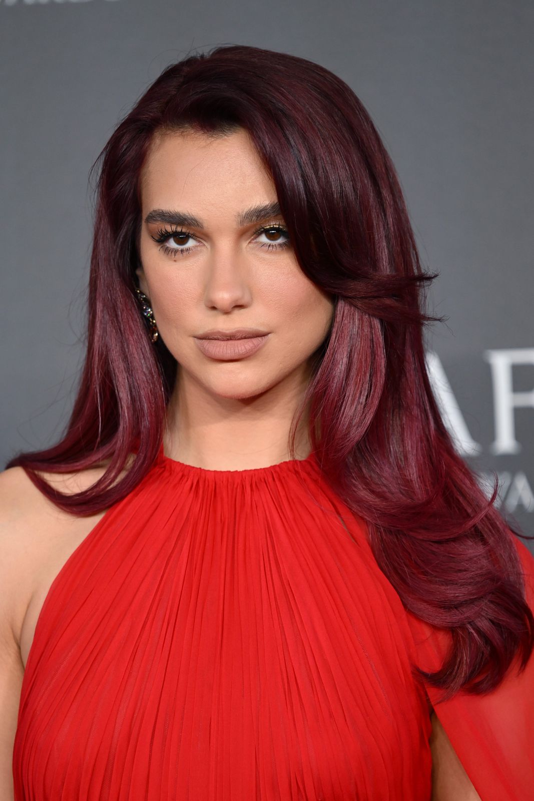 Thick Deep Red Layered Cut Thick Deep Red Layered Cut — Hair Color Ideas for Dark Hair