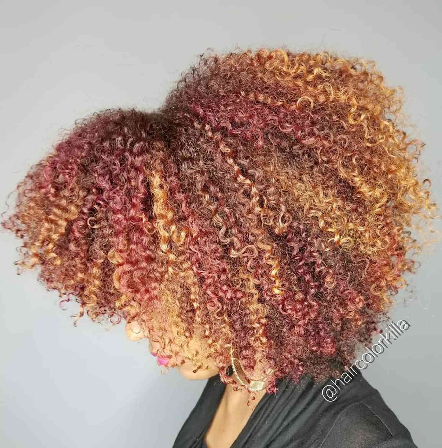 Afro Red-Brown With Copper and Burgundy Highlights Afro Red-Brown With Copper and Burgundy Highlights — Red Hair with Highlights