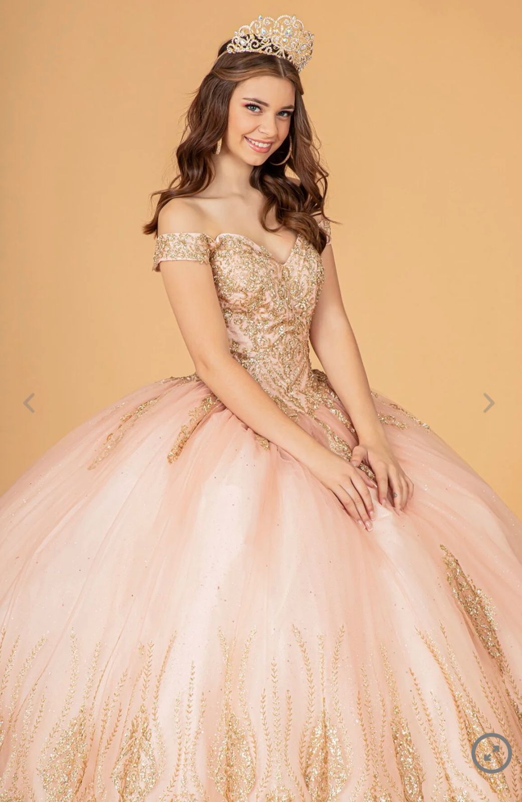 Pale Pink Ball Gown with Gold Embroidery and Tiara — Sweet 16 Dresses