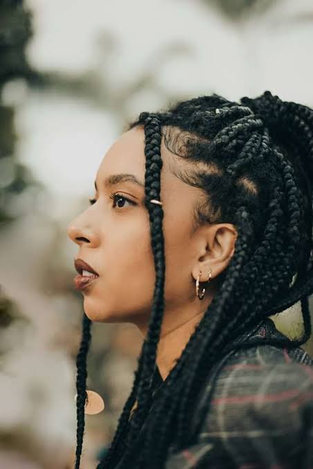High Ponytail with Face-Framing Baby Hairs — Boho Twists