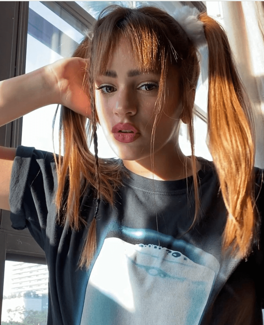 Auburn Pigtails with Braids — Y2K Hairstyles