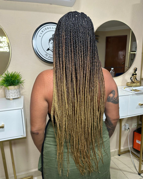 Fine Knotless Braids Ombre