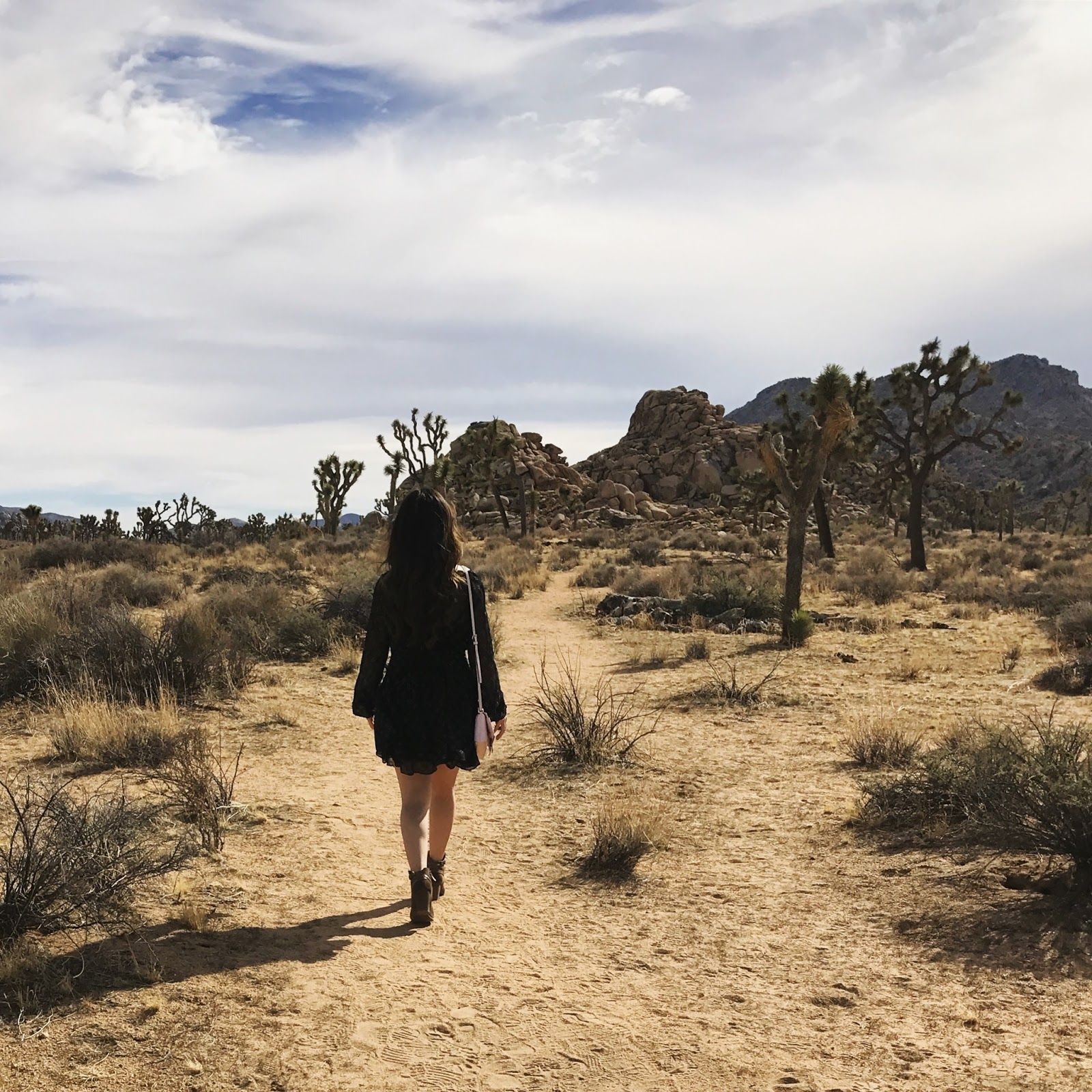 Desert Stroll: Flared Dress and Jacket Desert Stroll: Flared Dress and Jacket — National Park Outfits