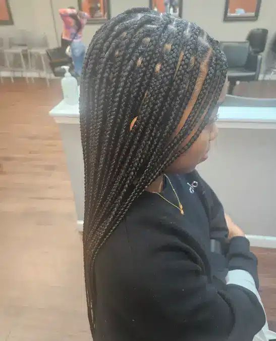 Neat Black Box Braids — Layered Braids