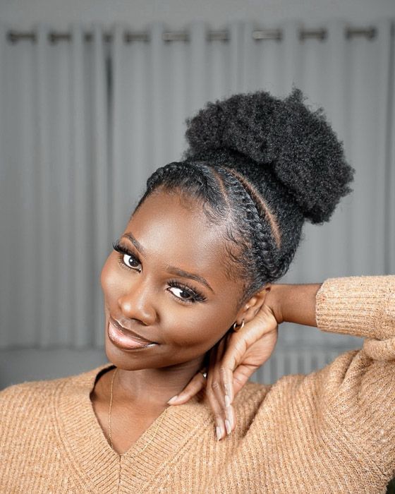 High Puff With Braids Visual Idea