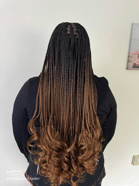 Sleek Braids with Curly Ombre Ends — Ombre Braids